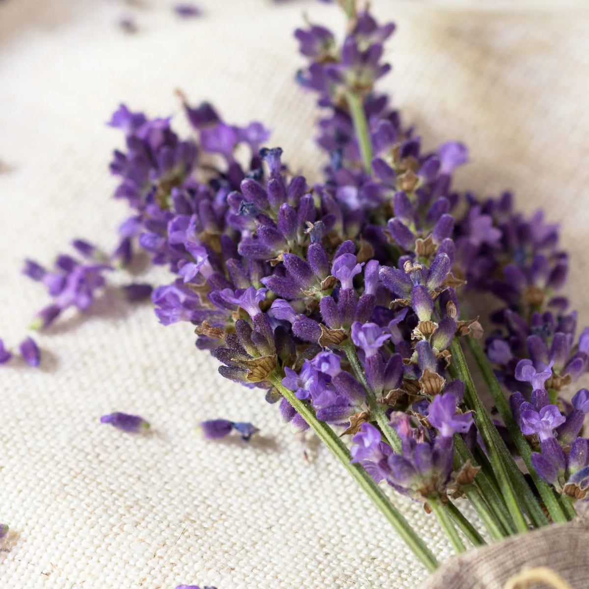 Volant ilmkjarnaolía - Lavender